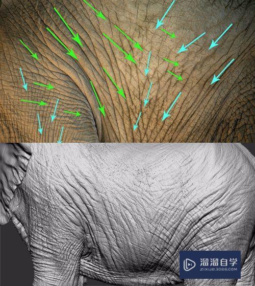 Maya雕刻大象想法和教程