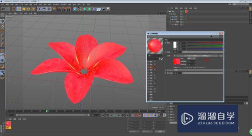 C4D怎么制作花朵开放的动画效果(c4d做花朵开放过程动画)