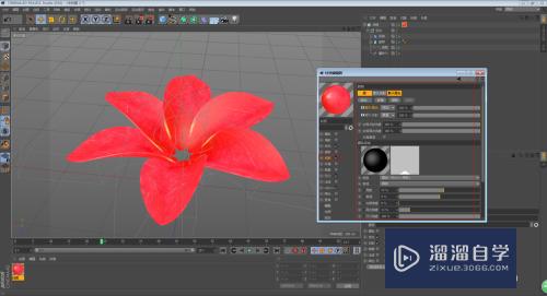C4D怎么制作花朵开放的动画效果(c4d做花朵开放过程动画)