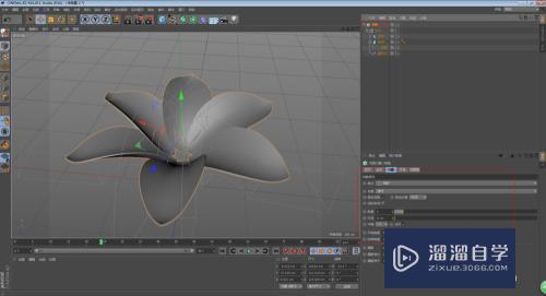 C4D怎么制作花朵开放的动画效果(c4d做花朵开放过程动画)