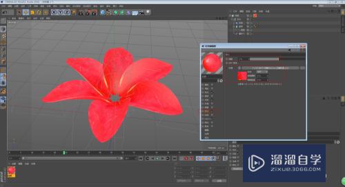 C4D怎么制作花朵开放的动画效果(c4d做花朵开放过程动画)