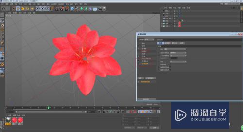 C4D怎么制作花朵开放的动画效果(c4d做花朵开放过程动画)