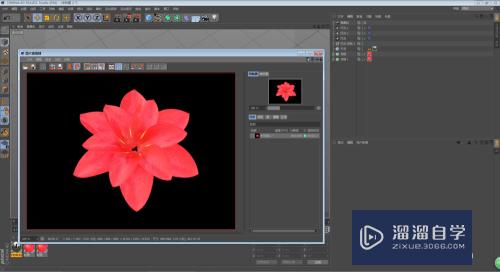 C4D怎么制作花朵开放的动画效果(c4d做花朵开放过程动画)