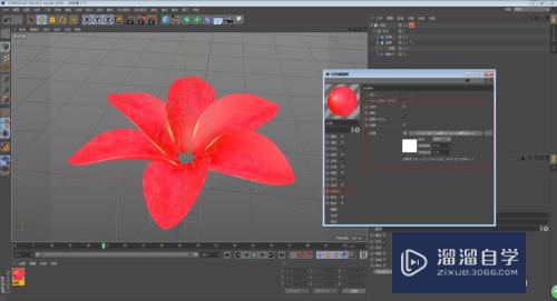 C4D怎么制作花朵开放的动画效果(c4d做花朵开放过程动画)