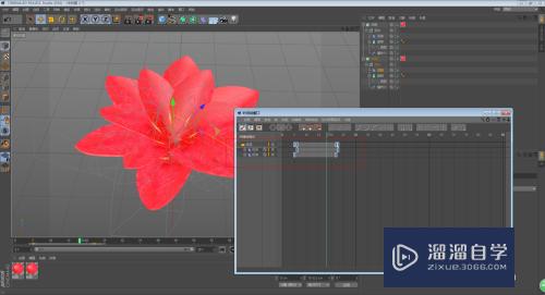 C4D怎么制作花朵开放的动画效果(c4d做花朵开放过程动画)