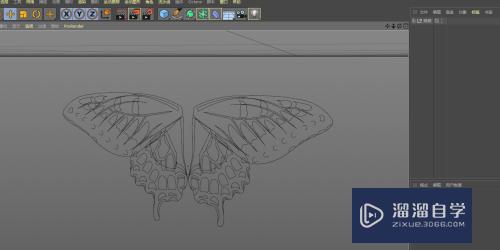 C4D 如何创建蝴蝶模型上篇？