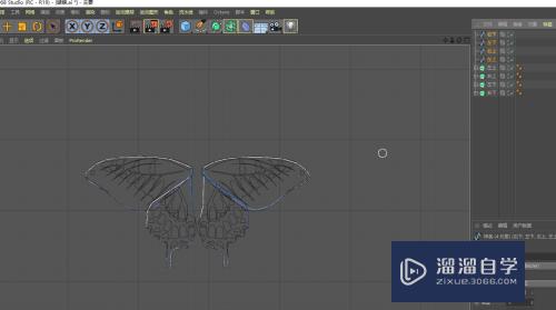 C4D怎么创建蝴蝶模型(c4d制作蝴蝶模型)