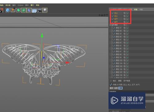 C4D怎么创建蝴蝶模型(c4d制作蝴蝶模型)