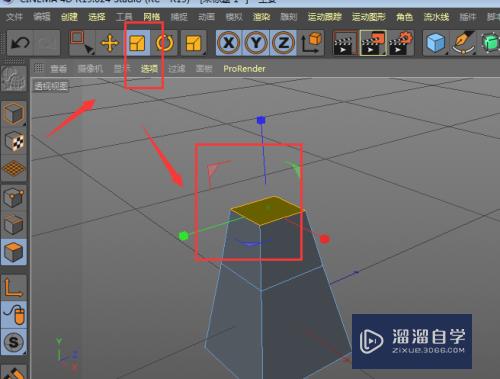 C4D如何制作简单卡通小树(c4d怎么做小树)