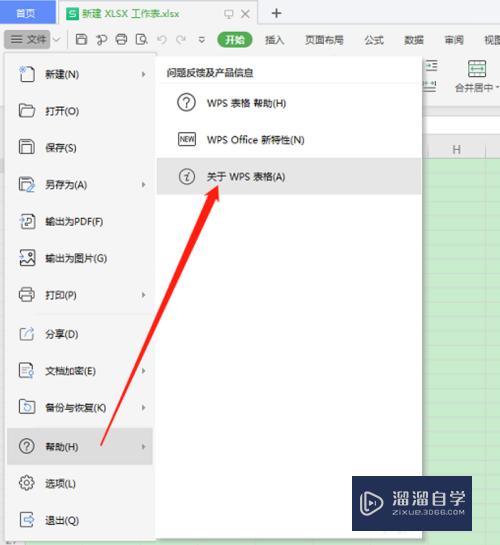 Excel版本怎么看(excel版本怎么看是office和wps的)