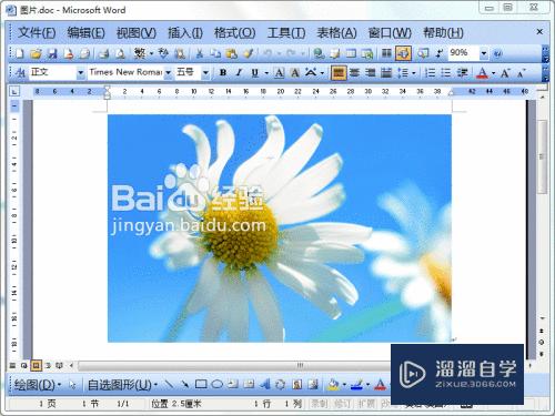 Word2003文档的图片怎么导出(word2003里面图片怎么导出)