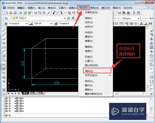 CAD怎样标注立体二维图的倾斜尺寸(cad怎样标注立体二维图的倾斜尺寸大小)