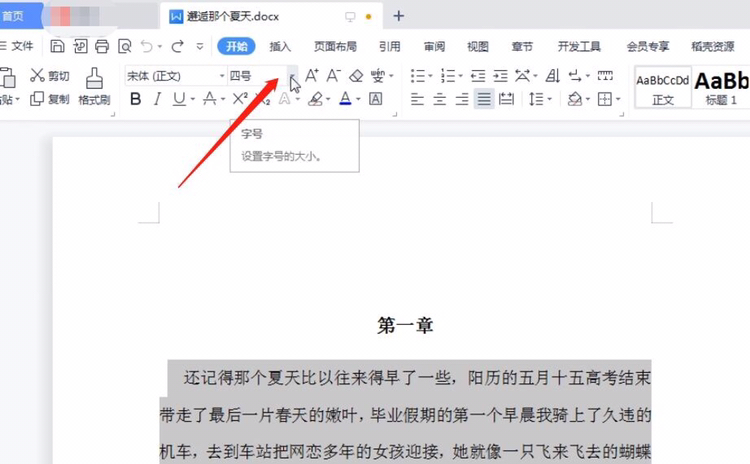 WPS如何设置字体大小？