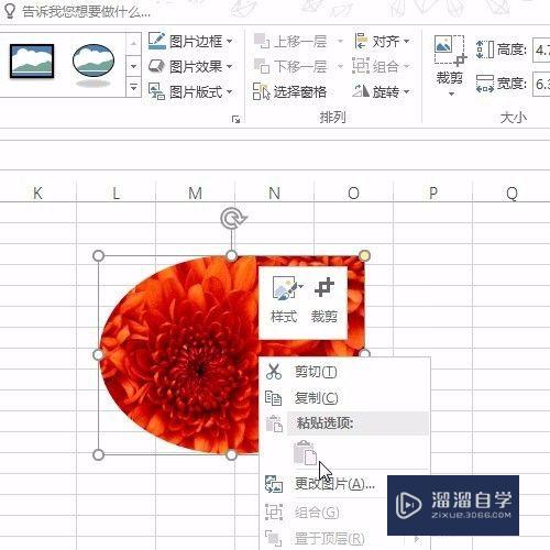 Excel怎么把图片裁剪为好看的形状(excel怎么把图片裁剪为好看的形状图)