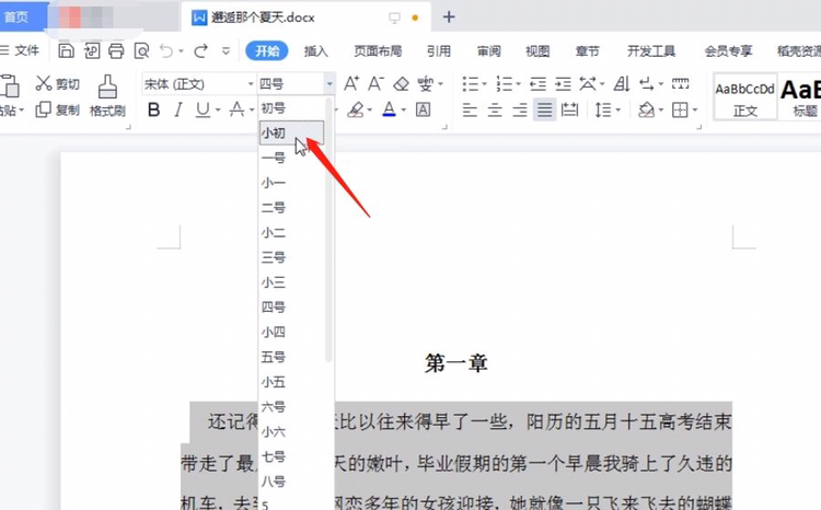 WPS如何设置字体大小？