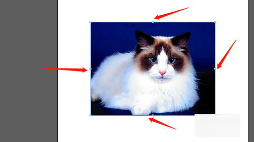 ai如何描摹图像?