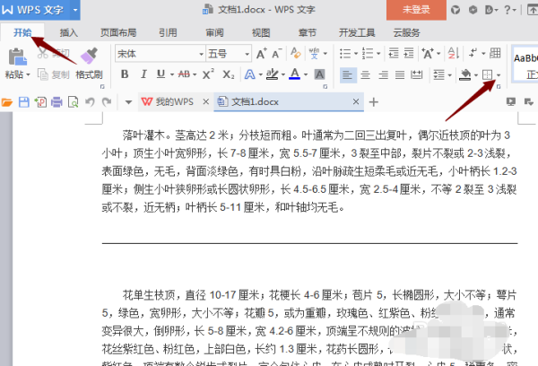 Word文字下面一条横线怎么取消？
