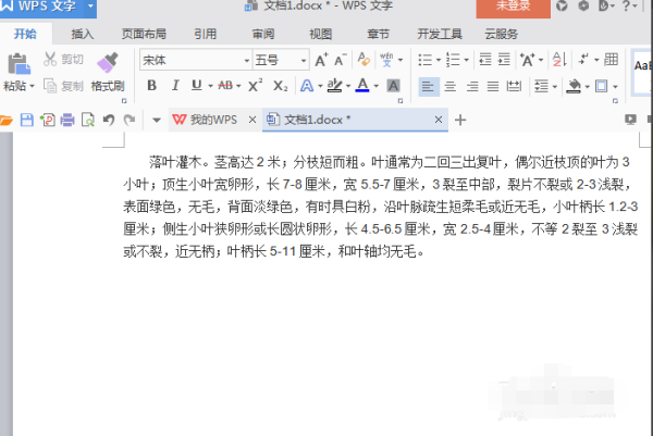 Word文字下面一条横线怎么取消？