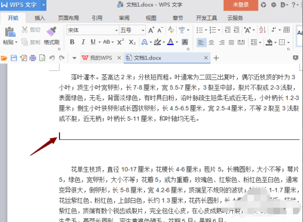 Word文字下面一条横线怎么取消？