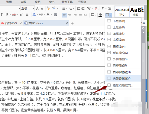 Word文字下面一条横线怎么取消？