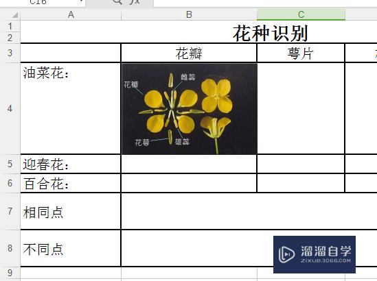 Excel怎么插入图片(excel怎么把图片嵌入到单元格里)