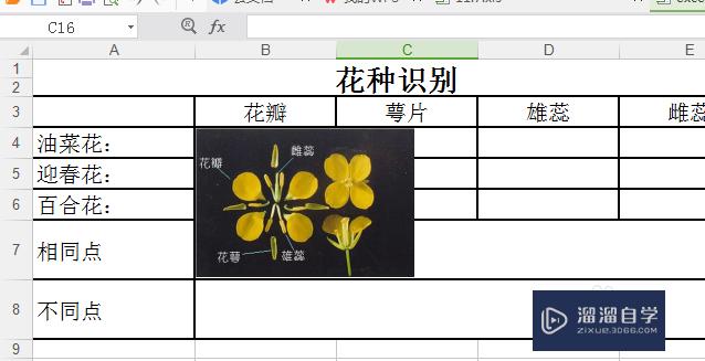 Excel怎么插入图片(excel怎么把图片嵌入到单元格里)