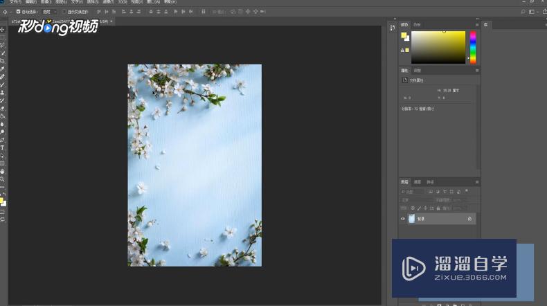 Adobe Photoshop蒙尘与划痕工具如何使用？