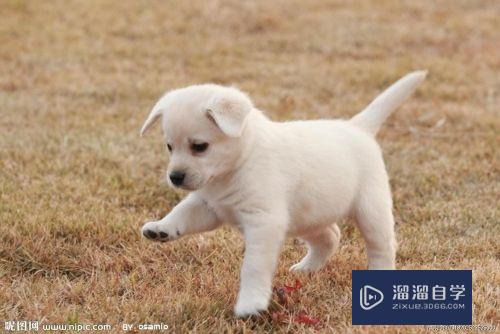 PS怎么<esred>将</esred><esred>选中</esred>的<esred>区域</esred><esred>保存</esred>为图片？