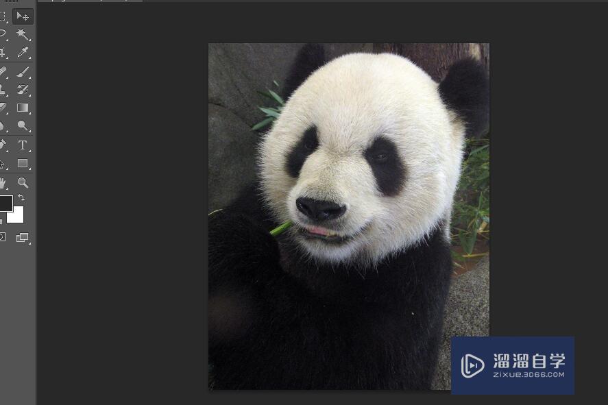 <esred>PS</esred>怎么给<esred>画笔</esred>选择<esred>颜色</esred>？