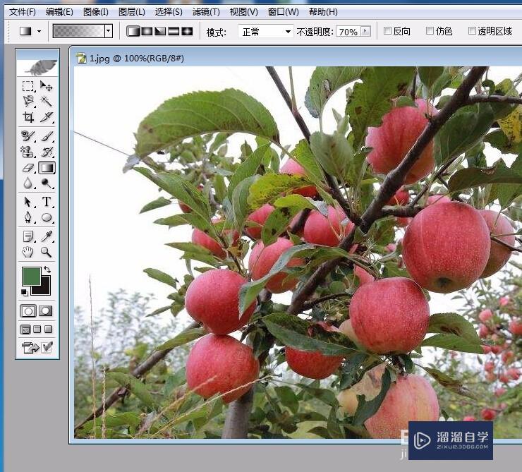 <esred>PS</esred><esred>图片</esred>的背景怎么<esred>虚化</esred>？
