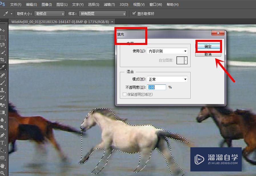 Photoshop中利用套索工具去除图片中某物的方法