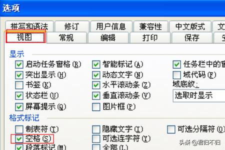 Word文档中空格中为什么显示圆点？