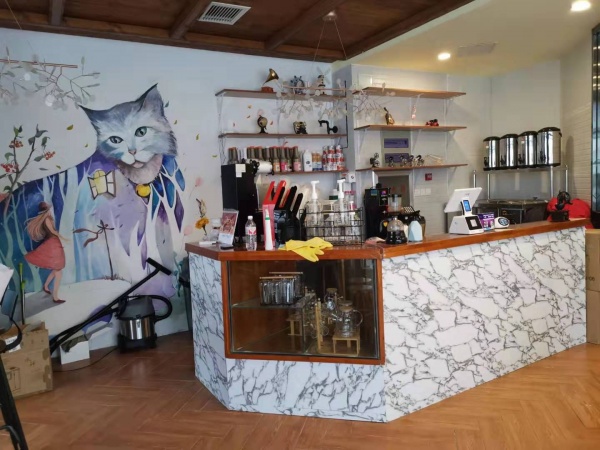 设计宠物店