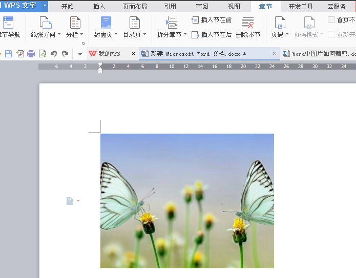 word2007图片裁剪图片