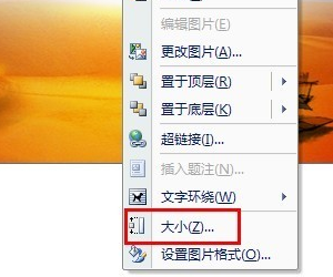 在word中怎样将图片设置缩放比例为30