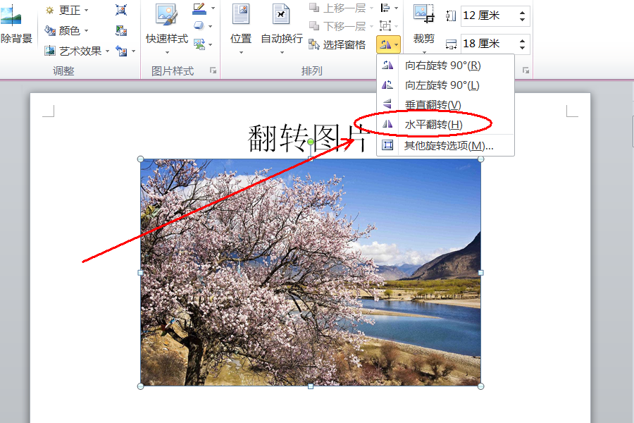word文档里的图片如何正反面翻转?