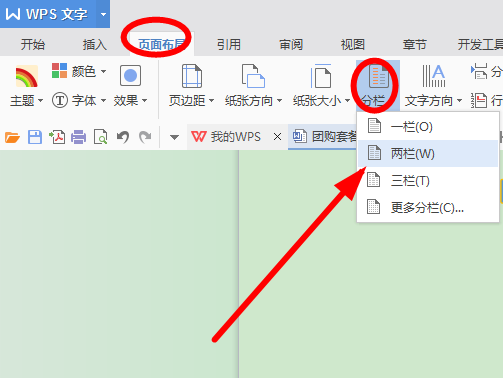 如何用wps文字将一个页面分为两半,左右两边都可以用到?