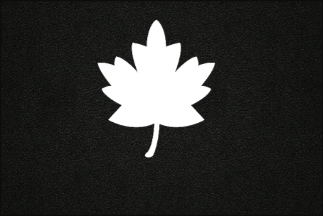 c4eac201029304efcdab3291ff68845f.gif
