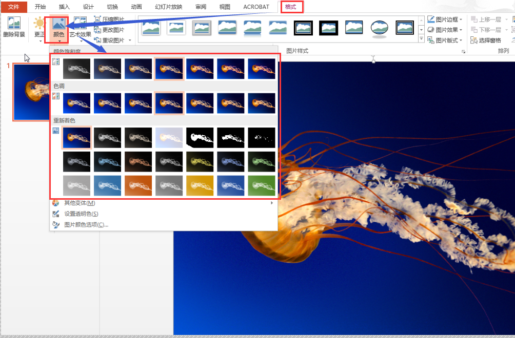 724c6ca522242a22701fa30714060d84.gif