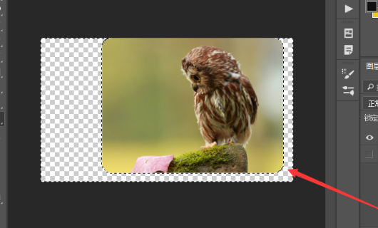 190ad86e158668a9d7fb266eed4fd2c0.gif