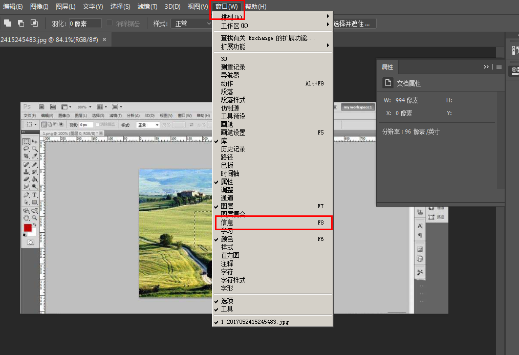 photoshop如何查看矩形选框工具选中区域的大小?