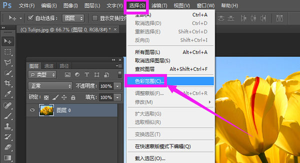 word怎么从网上搜图片