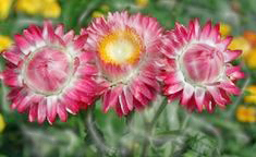 50d746cffce894b09544151578088645.gif