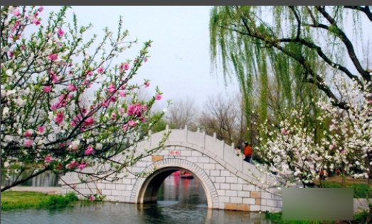 4b2af878e2a8a87fd320dbca9c7ac8ae.gif